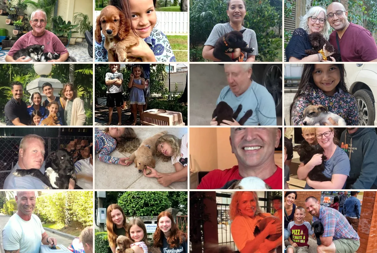 Perfect Pedigree puppies welcomed by customers after delivery across Thailand