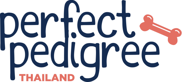 Perfect Pedigree Thailand home